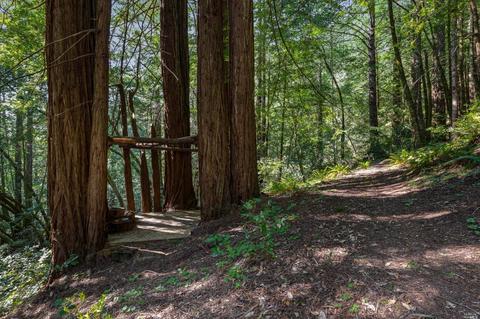 17100 Fitzpatrick Ln, Occidental, CA 95465 photo 29