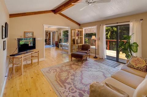 17100 Fitzpatrick Ln, Occidental, CA 95465 photo 8