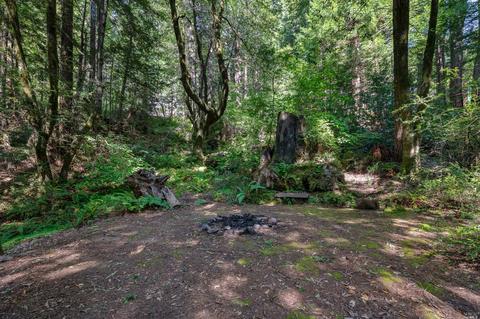 17100 Fitzpatrick Ln, Occidental, CA 95465 photo 30