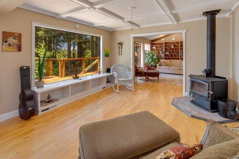 17100 Fitzpatrick Ln, Occidental, CA 95465 photo 10