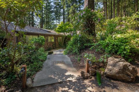17100 Fitzpatrick Ln, Occidental, CA 95465 photo 2