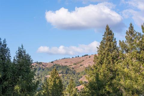 9 Chaparral Ln, San Geronimo, CA 94963 photo 34