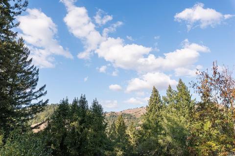 9 Chaparral Ln, San Geronimo, CA 94963 photo 17
