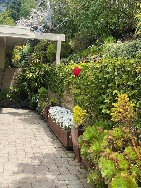 39 Geldert Ct, Tiburon, CA 94920 photo 28