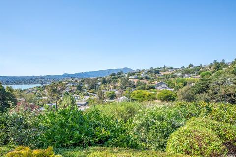 39 Geldert Ct, Tiburon, CA 94920 photo 30