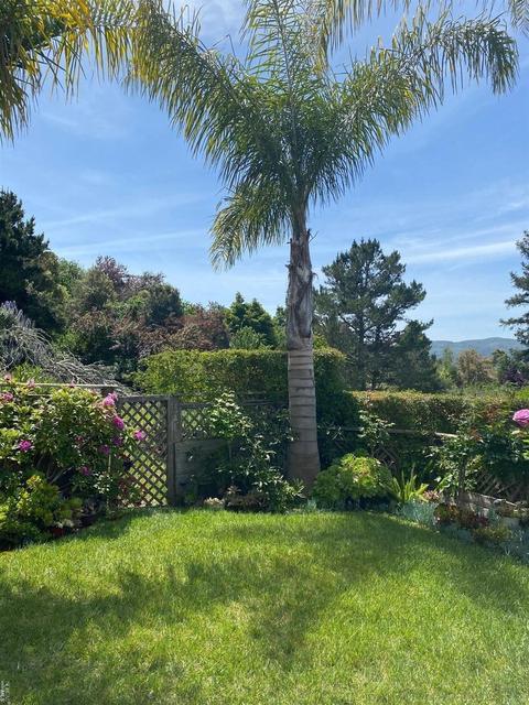 39 Geldert Ct, Tiburon, CA 94920 photo 22