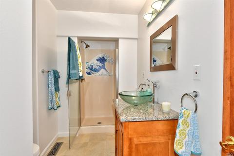 419 Chestnut Ave, Sonoma, CA 95476 photo 25