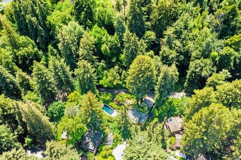 126 Corte Madera Ave, Mill Valley, CA 94941 photo 39