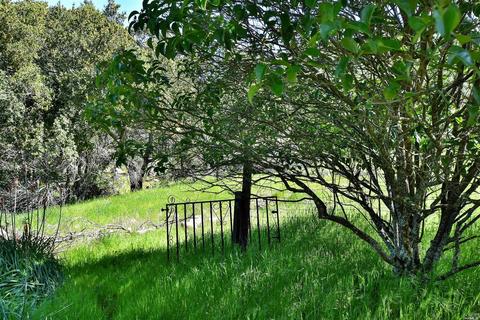 150 Cavedale Rd, Sonoma, CA 95476 photo 16