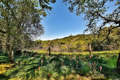 150 Cavedale Rd, Sonoma, CA 95476 photo 18
