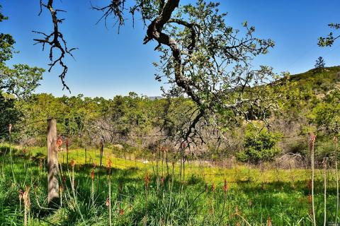 150 Cavedale Rd, Sonoma, CA 95476 photo 17