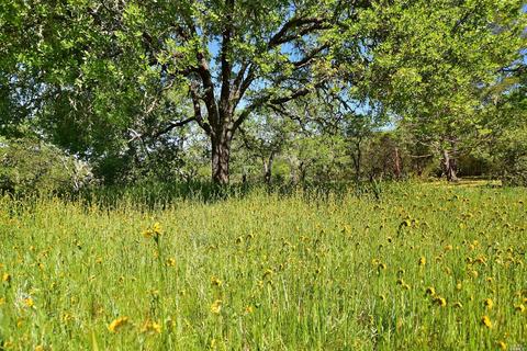 150 Cavedale Rd, Sonoma, CA 95476 photo 19