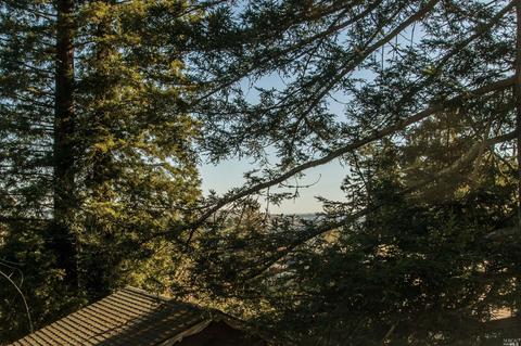 883 Marin Dr, Mill Valley, CA 94941 photo 29