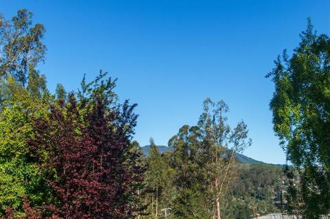 883 Marin Dr, Mill Valley, CA 94941 photo 27