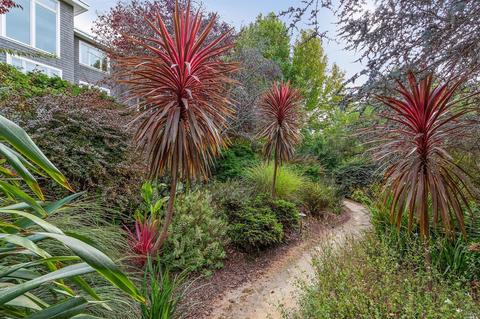 331 Blackfield Dr, Tiburon, CA 94920 photo 49