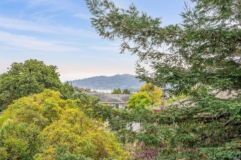 331 Blackfield Dr, Tiburon, CA 94920 photo 16