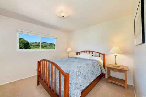 1695 Felder Rd, Sonoma, CA 95476 photo 20