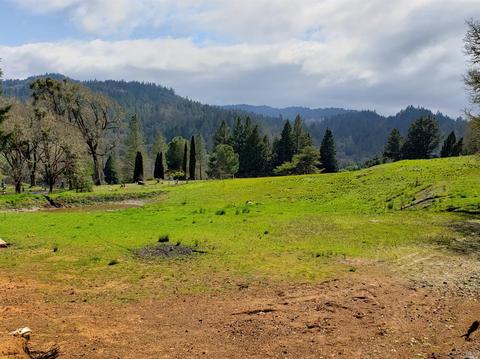22040 Pepperwood Way, Willits, CA 95490 photo 1