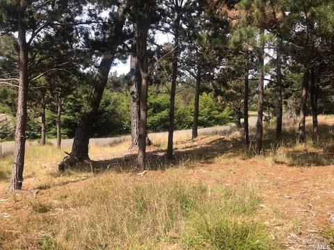 22083 Lee Dr, Jenner, CA 95450 photo 9