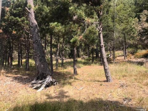 22083 Lee Dr, Jenner, CA 95450 photo 6