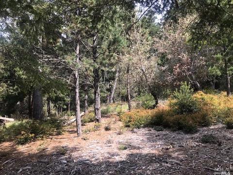 22083 Lee Dr, Jenner, CA 95450 photo 8