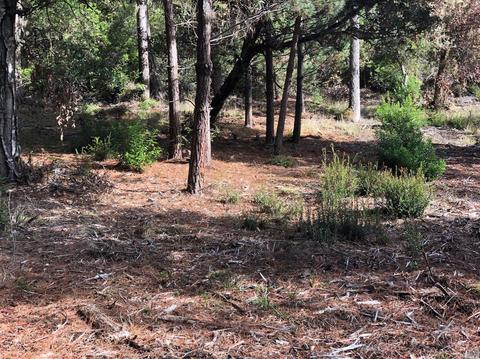 22083 Lee Dr, Jenner, CA 95450 photo 2