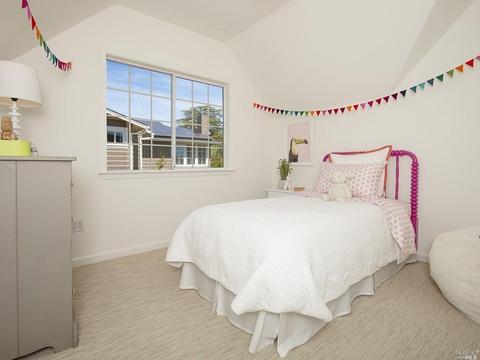 110 Walnut Ave, Mill Valley, CA 94941 photo 27