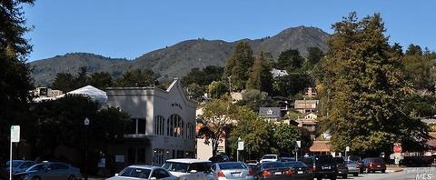 110 Walnut Ave, Mill Valley, CA 94941 photo 43