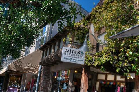 110 Walnut Ave, Mill Valley, CA 94941 photo 36