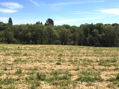 4121 Bones Rd, Sebastopol, CA 95472 photo 2