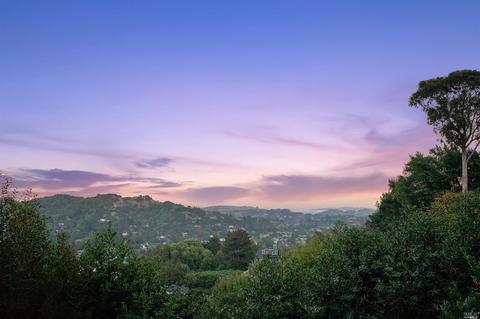 219 Molino Ave, Mill Valley, CA 94941 photo 31