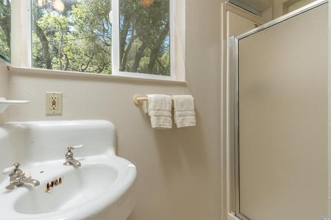 86 Alta Ave, Lagunitas, CA 94938 photo 23