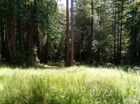 8 Jenner Ca Lot Land For Sale Movoto