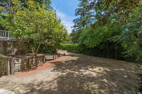 207 Melrose Ave, Mill Valley, CA 94941 photo 24