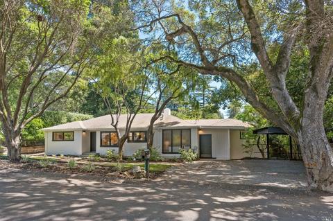 207 Melrose Ave, Mill Valley, CA 94941 photo 30