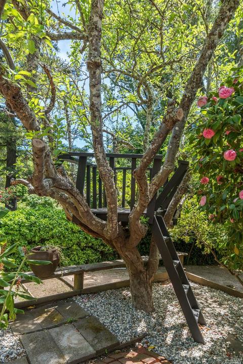 207 Melrose Ave, Mill Valley, CA 94941 photo 21