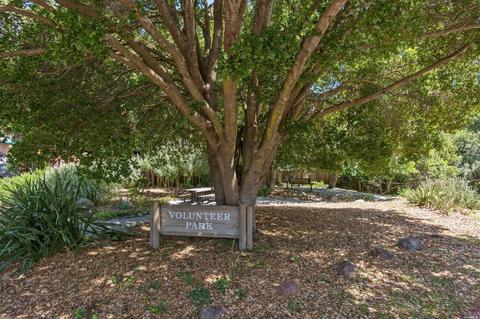 207 Melrose Ave, Mill Valley, CA 94941 photo 25