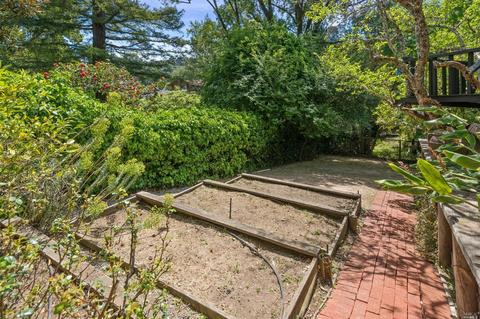 207 Melrose Ave, Mill Valley, CA 94941 photo 23
