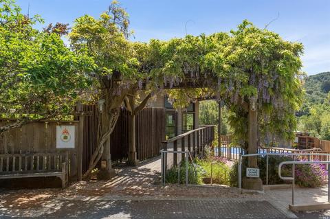207 Melrose Ave, Mill Valley, CA 94941 photo 27