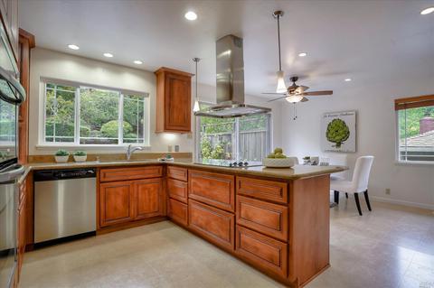 7 Gary Way, Fairfax, CA 94930 photo 19