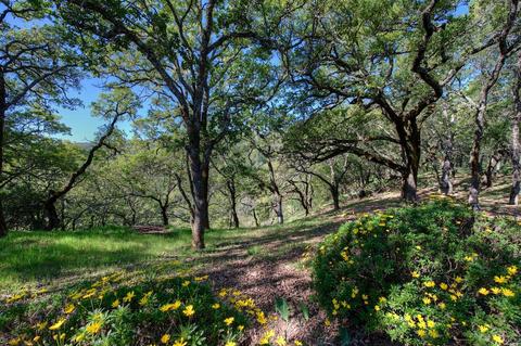 Undisclosed, Sonoma, CA 95476 photo 27