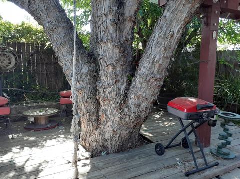 121 Brown St, Vacaville, CA 95688 photo 16