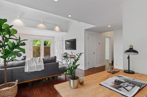 102 Mcrae Rd, Mill Valley, CA 94941 photo 24