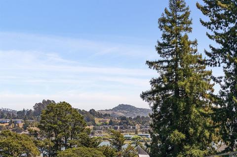 102 Mcrae Rd, Mill Valley, CA 94941 photo 41