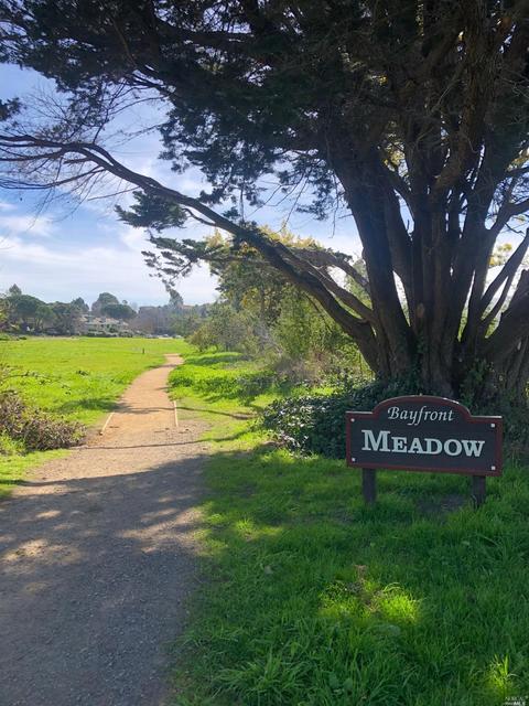 3 Emerson Dr, Mill Valley, CA 94941 photo 31