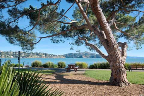 493 Bridgeway Blvd, Sausalito, CA 94965 photo 29