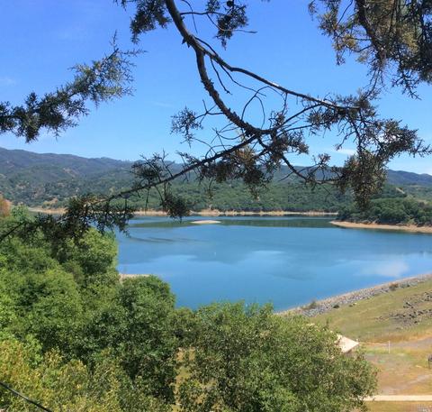 3541 Blackberry Ln, Ukiah, CA 95482 photo 23