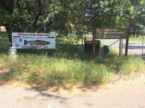 3541 Blackberry Ln, Ukiah, CA 95482 photo 22
