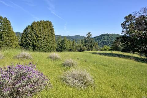 Undisclosed, Cloverdale, CA 95425 photo 23