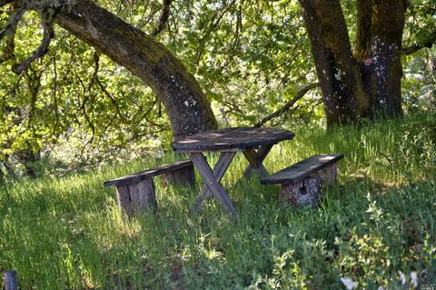 Undisclosed, Cloverdale, CA 95425 photo 27